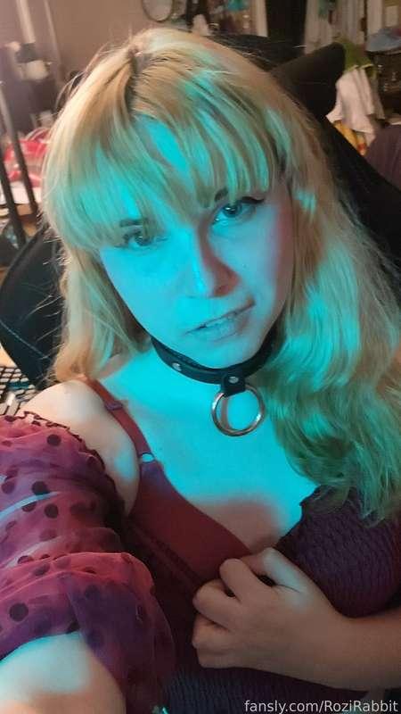 rozirabbit image #0