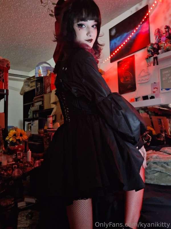 kyanikitty image #0