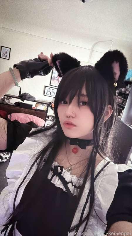 bunnykoisenpai image #5