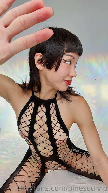 pinesoulvip image #4