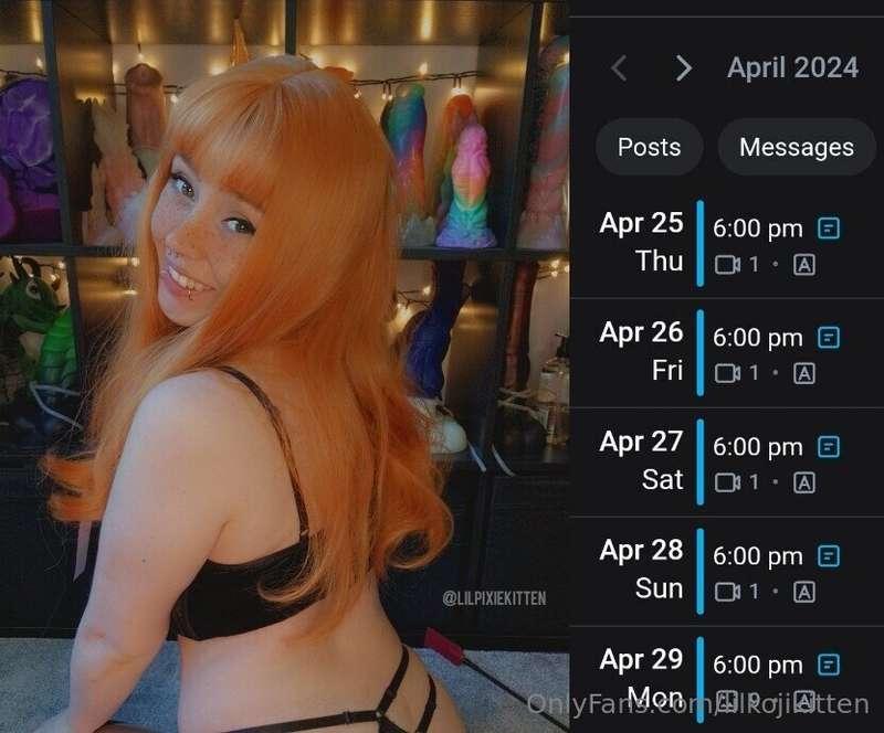 New posts qued up on my main account @little_pixie_kitten 🧡