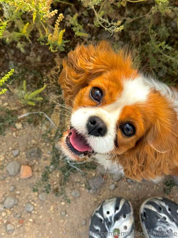 🐶💋🚶🏼‍♀️we like to walk together. our connection seems strong..