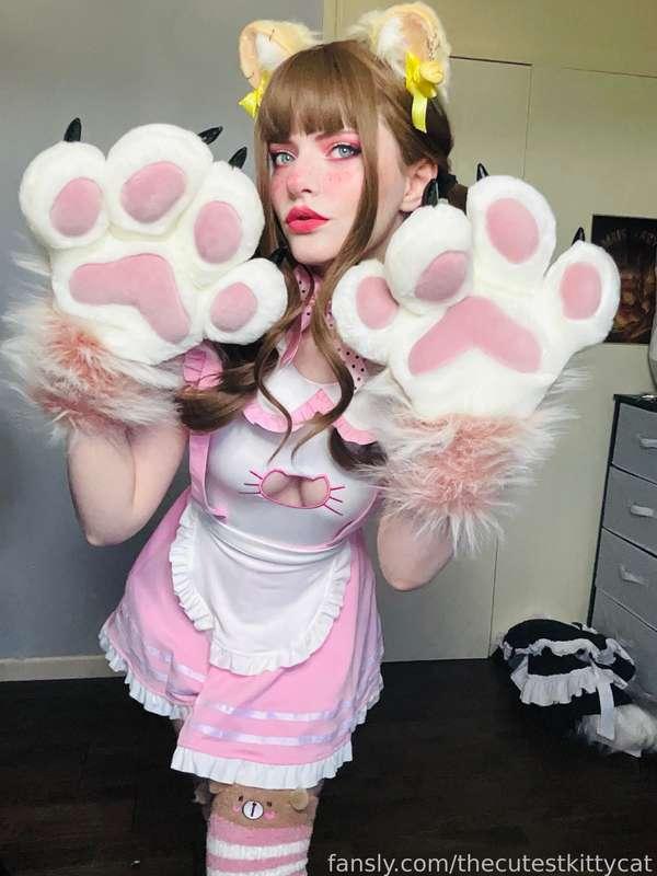 thecutestkittycat image #8