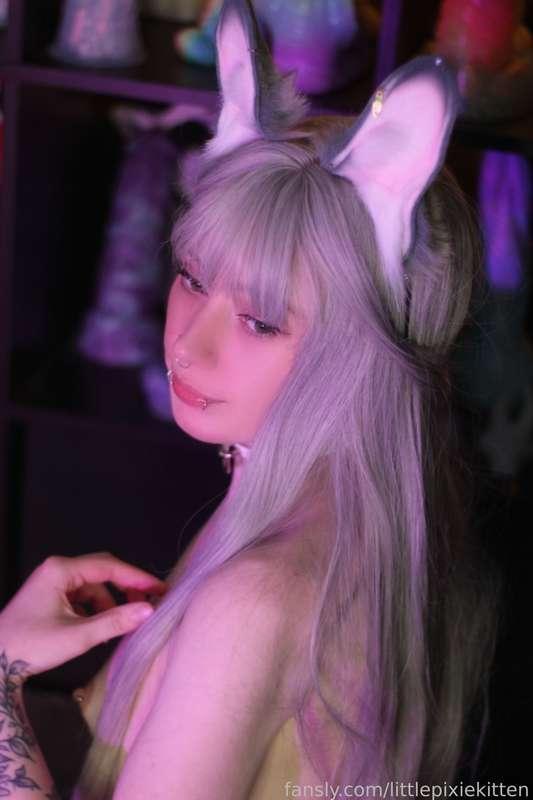 littlepixiekitten image #2
