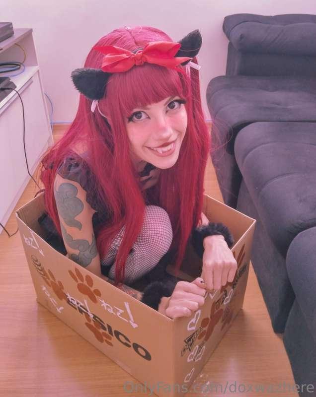onlydoxfans image #0