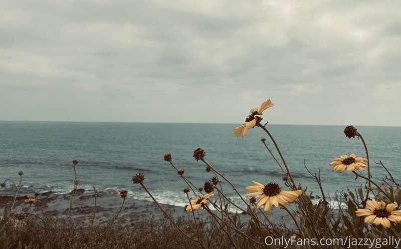 Have a beautiful day everyone!