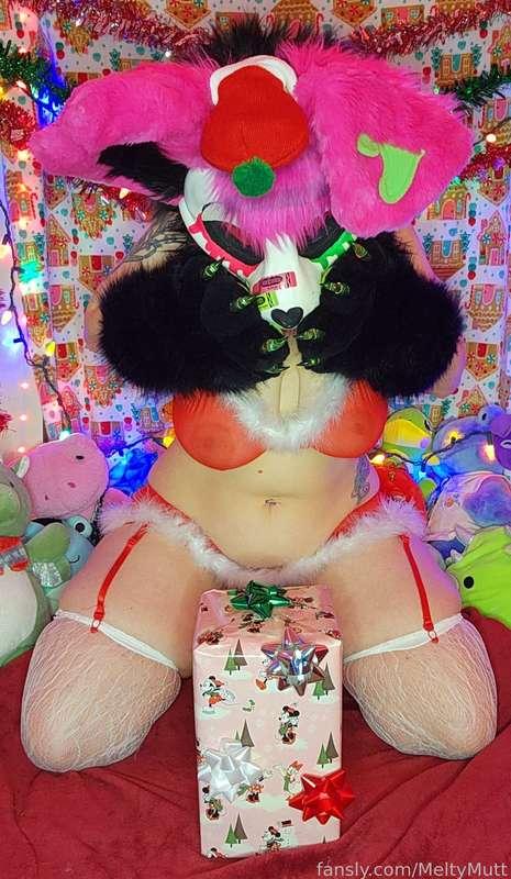 🎄XXXmas!🎄
It looks like Melty got into the presents early, what a naughty boy~
Wonder what he got?

#xxxmas #holiday #christmas #sexmas #fantasytoys #baddragon #sizequeen #santa #costume #furry #murrsuiter #murrsuit #fursuit #softsuiting