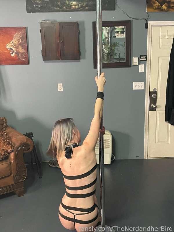 thenerdandherbird image #17