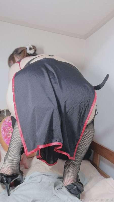 pigmananal image #9