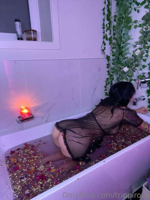 trippirose image #10