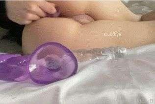 cuddlyb image #1
