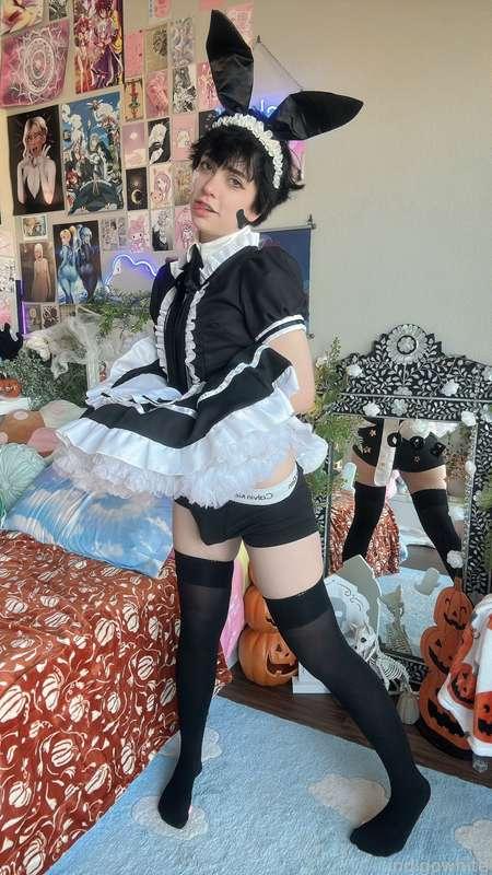 indigowhite image #41