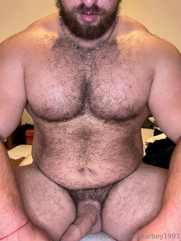 bearboy1993 image #0