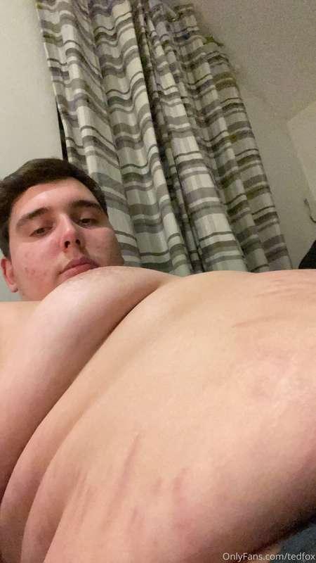 tedfoxgains image #2