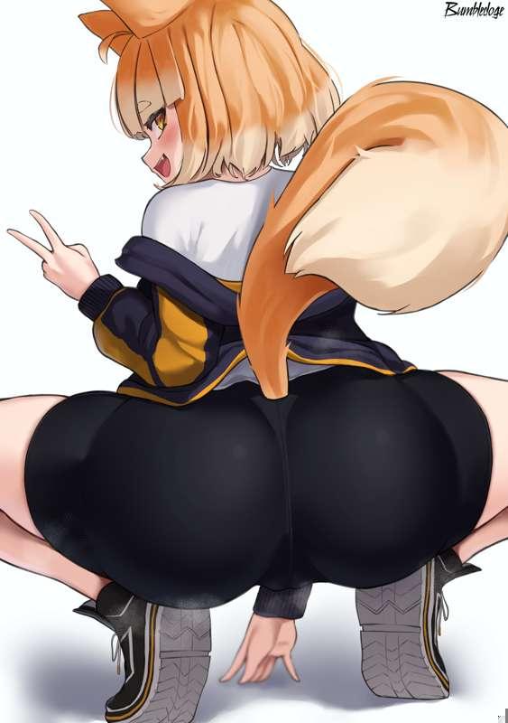 Shiba squat - High - Res