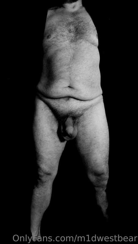 m1dwestbear image #12