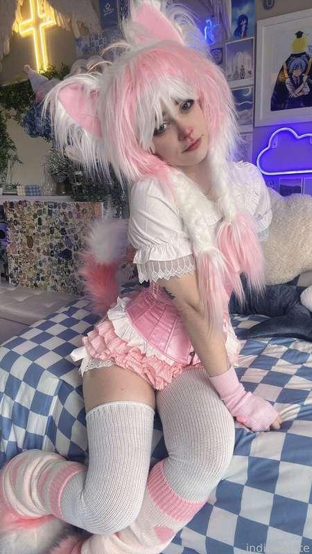 indigowhite image #51