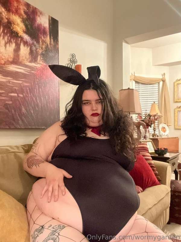 wormygarden image #17