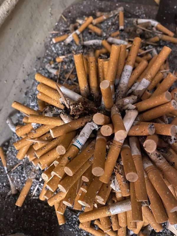 emmacantquit image #0