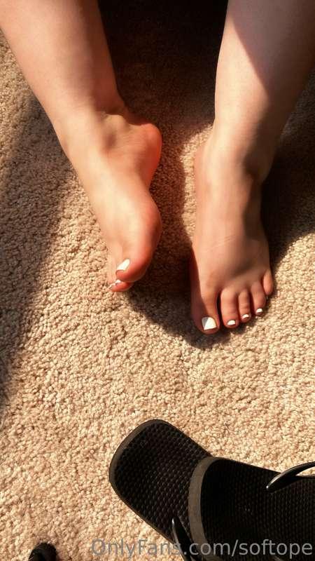 Bout to paint these wee piggies