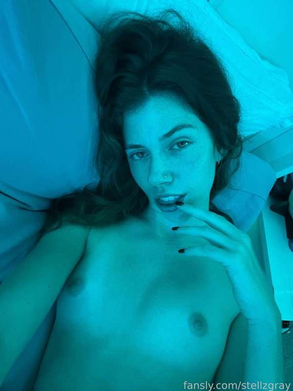 stellzgray image #2