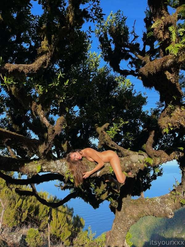 🌳listen to the magic