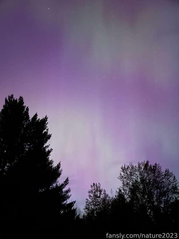 nature2023 image #8