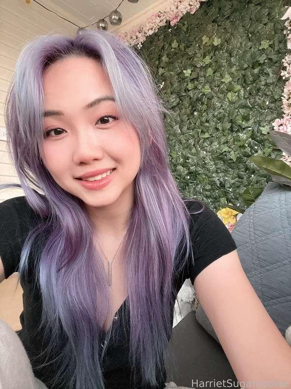 harrietsugarcookie image #0