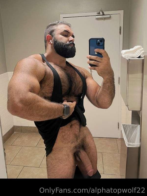 alphatopwolf22 image #1