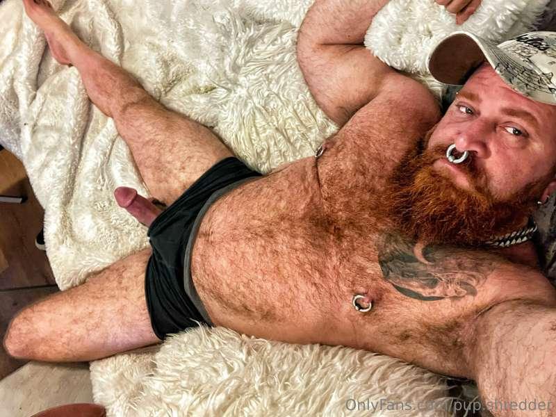 This blanket is so comfy! Cum cuddle with me.🐶