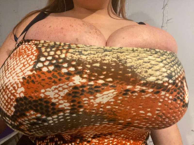 🐍🐍🐍