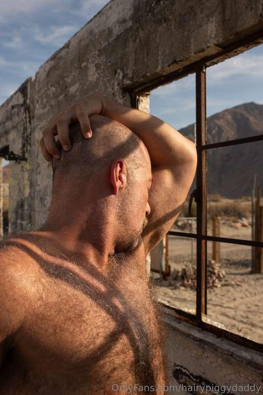 hairypiggydaddy image #6