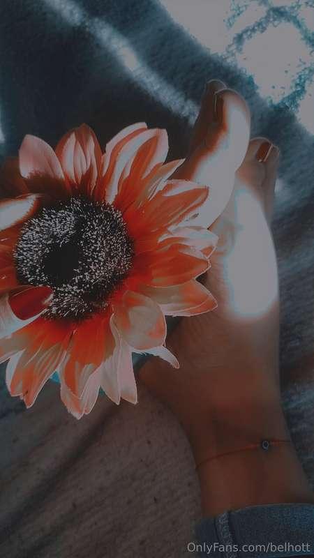 👣🌻