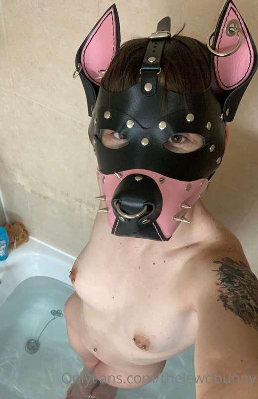 My new hood is amazing !!🥹💖
Just need a tail~!