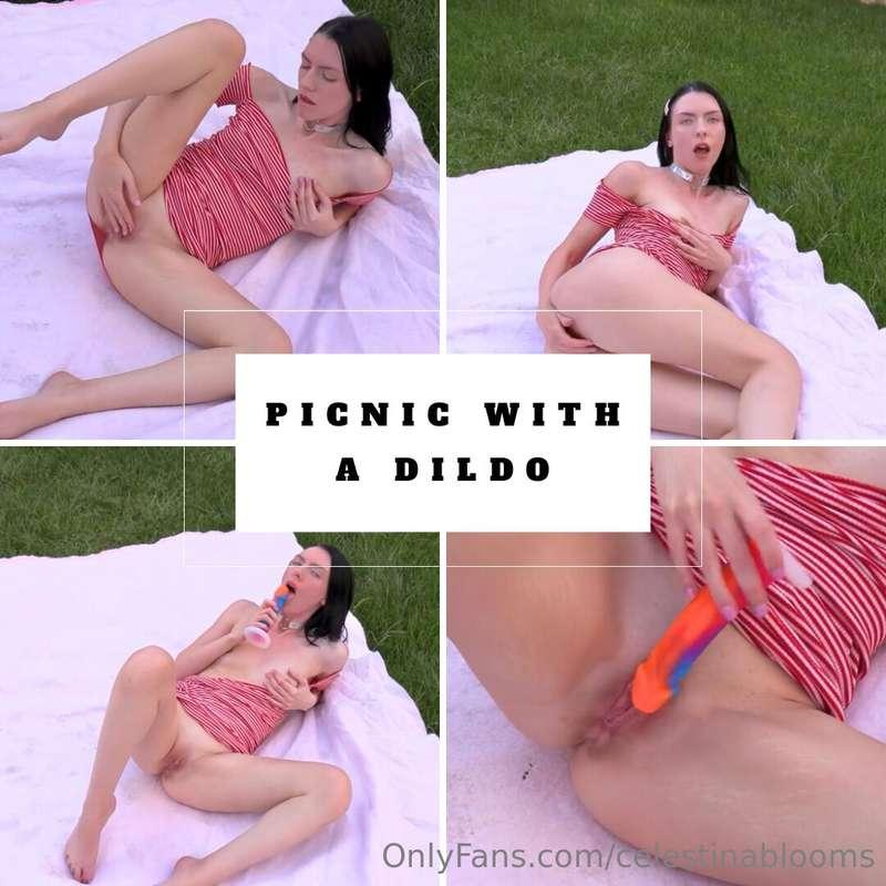 ✨Picnic With A Dildo (Risky, Picnic Blanket on Grass, Meta, ..