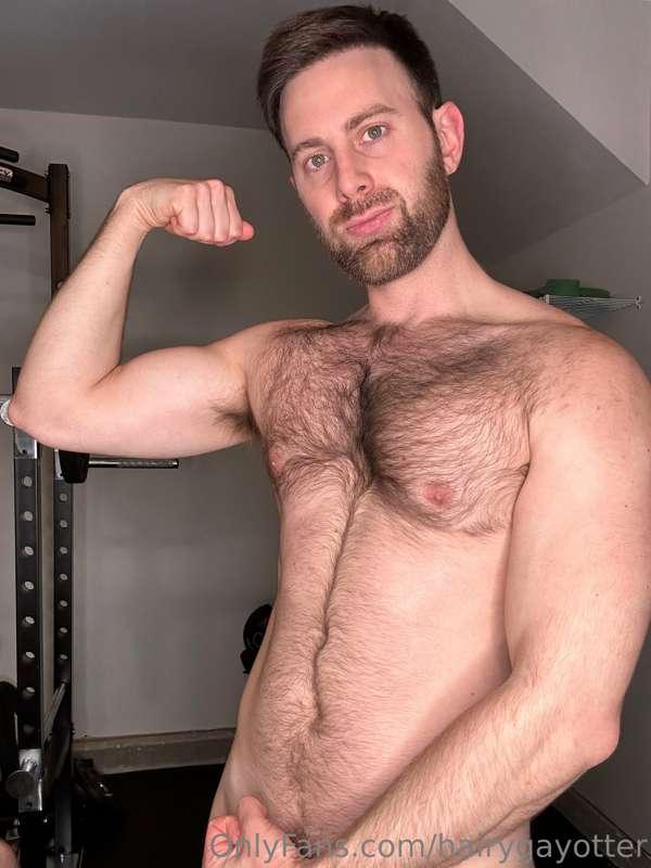 hairygayotter image #1