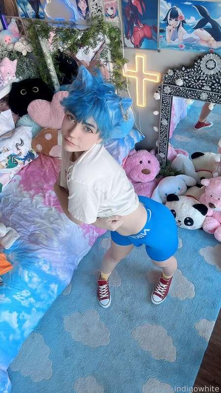 indigowhite image #18