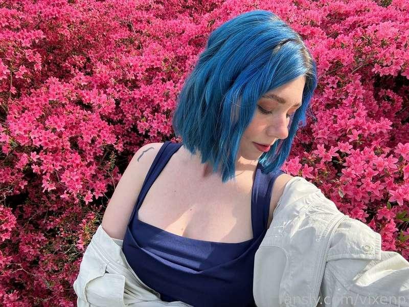 vixenp image #1