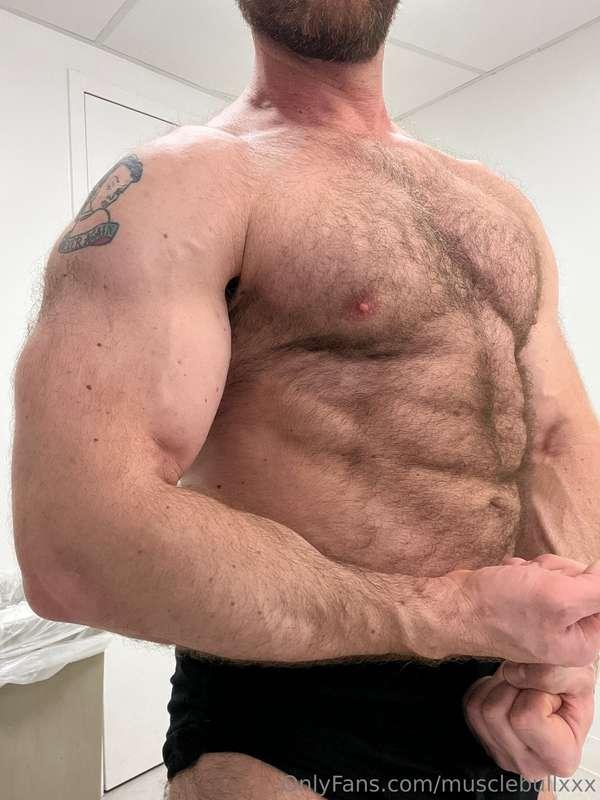 musclebullxxx image #11