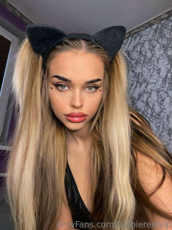 ## I'm the kitty of your dreams😸
