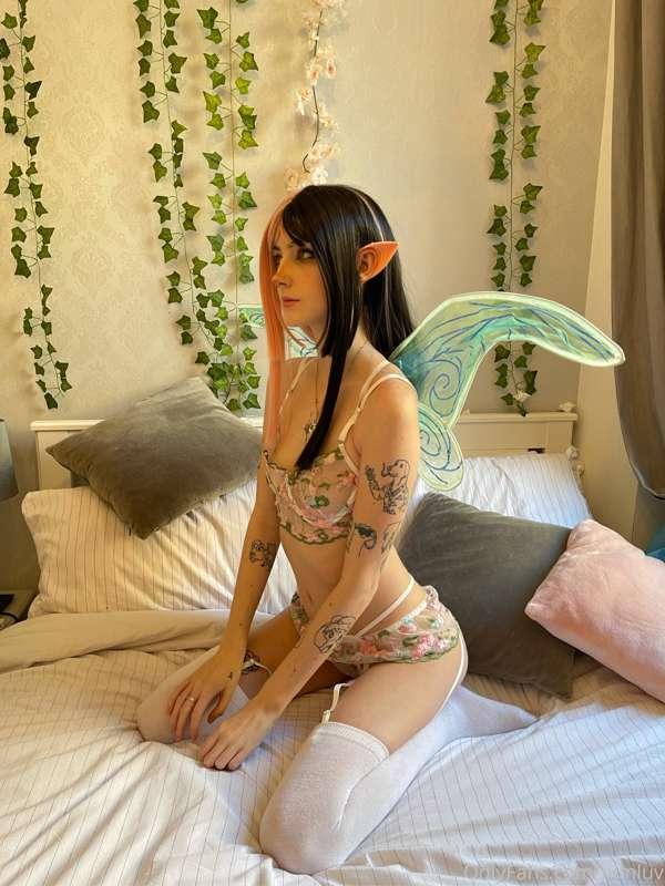 nimapie image #15