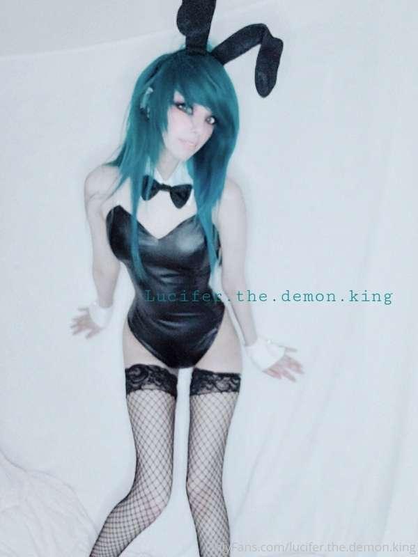 Hey cutie ;3 ty for being so nice to ur bunny girl 
(灬ºωº灬)♡..