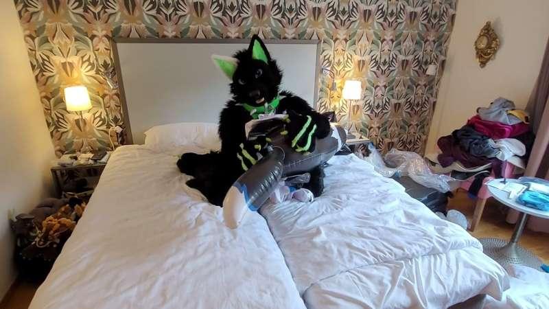 Neio Deflates a collie.