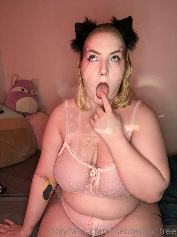 thebbwfox_free image #0