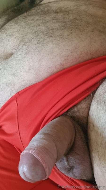 bearpamp image #1