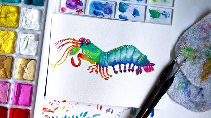 I spent my Saturday painting this lil dude - the mantis shri..
