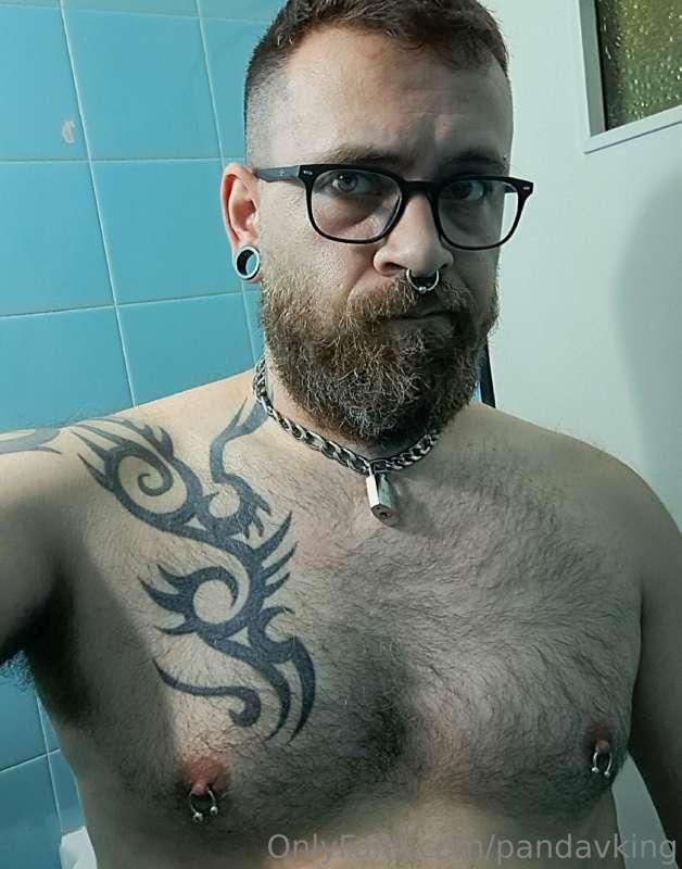 🐻⛓️🔒