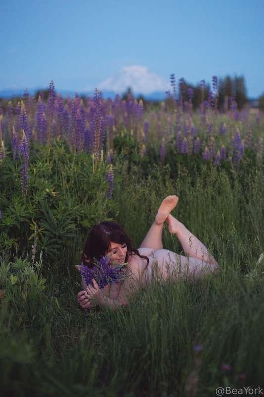 Everyone who answers "yes" to the poll will get a photoset o..