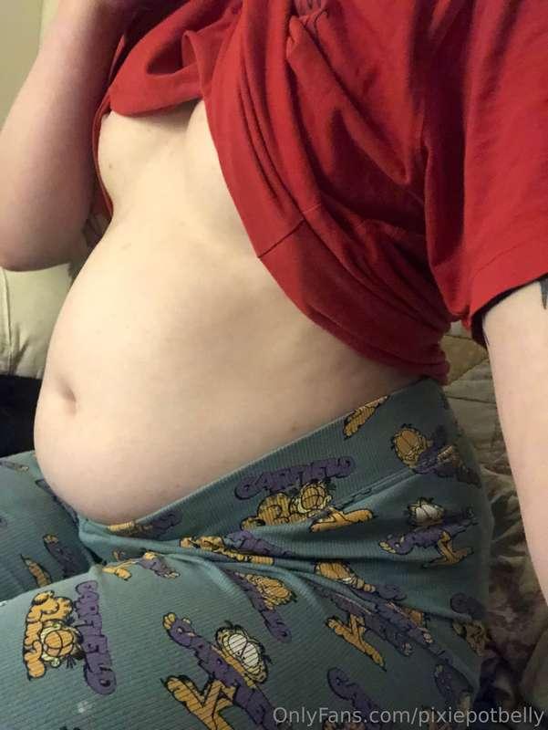 pixiepotbelly image #1