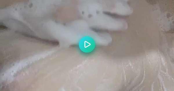 谷M了🥺